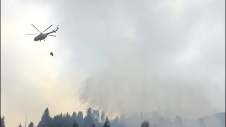 В горах Алматы продолжается тушение пожара, в котором погиб пожарный