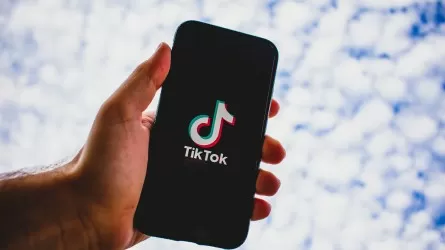 TikTok запретили госслужащим на рабочих телефонах в Австрии
