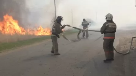 Петропавл қаласының әкімі сөгіс алды