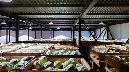 Кабмин трансформирует работу Продкорпорации