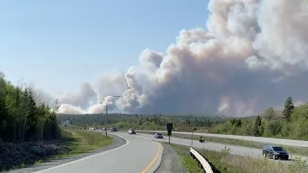 Более 16 тыс. человек эвакуировали из-за лесных пожаров в Канаде