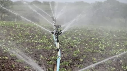 Минсельхоз предложил утвердить тарифы на воду для аграриев по способам полива