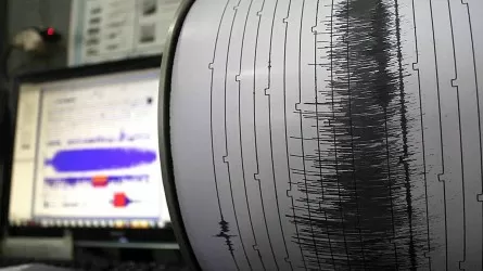Землетрясение зафиксировали сейсмологи Казахстана утром 9 мая