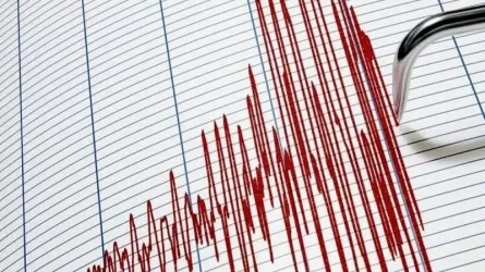 Новое землетрясение произошло в Турции