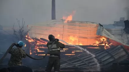 9 домов сгорели в Петропавловске из-за возгорания камыша