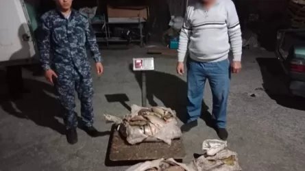 В Жетысу  полицейские изъяли у сельчанина около 100 килограммов незаконно выловленной рыбы