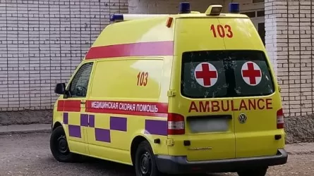 В Алматинской области 10 школьников попали в больницу с отравлением