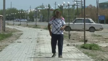 Сельчане страдают от гнуса на юге Казахстана