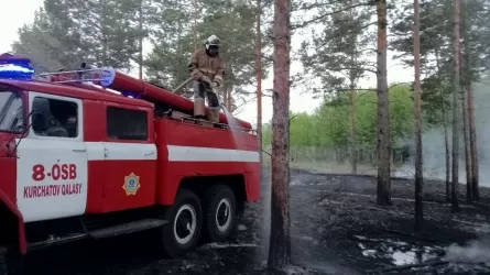 В МЧС доложили о ситуации с пожаром в области Абай