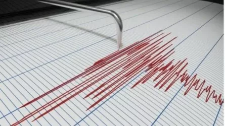 Землетрясение магнитудой 4,6 зарегистрировали сейсмологи Казахстана
