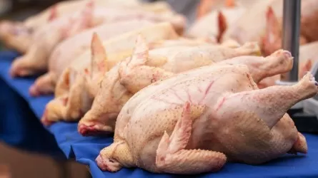 Казахстан бьет рекорды по производству мяса птицы 