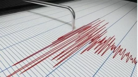Землетрясение магнитудой 5,4 произошло на границе Казахстана с Китаем  