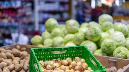 Павлодарская область входит в топ-5 регионов с самыми низкими ценами на продукты питания