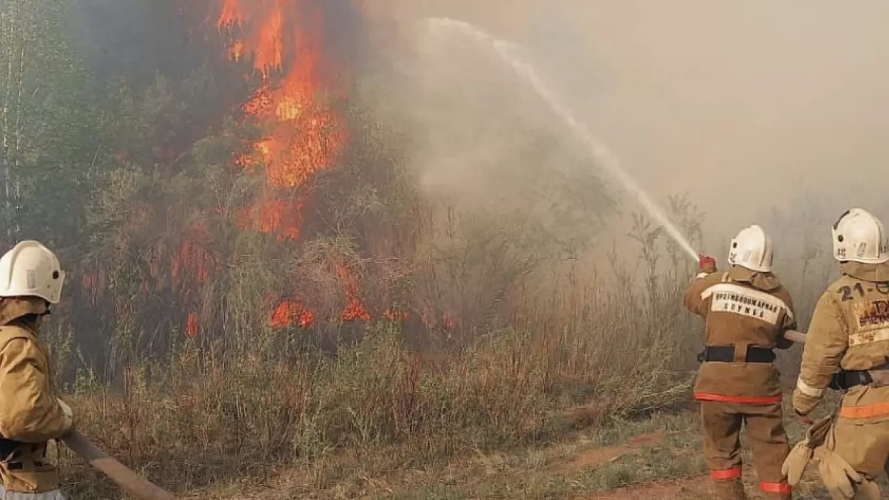 В Абайской области снова горит лес