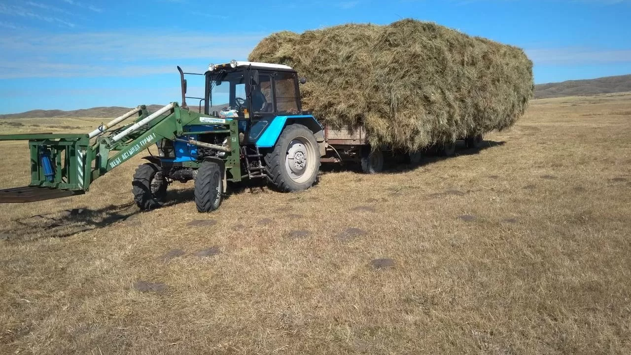 Абай ауданында мал басының саны былтырғы жылмен салыстырғанда 4 % өсті