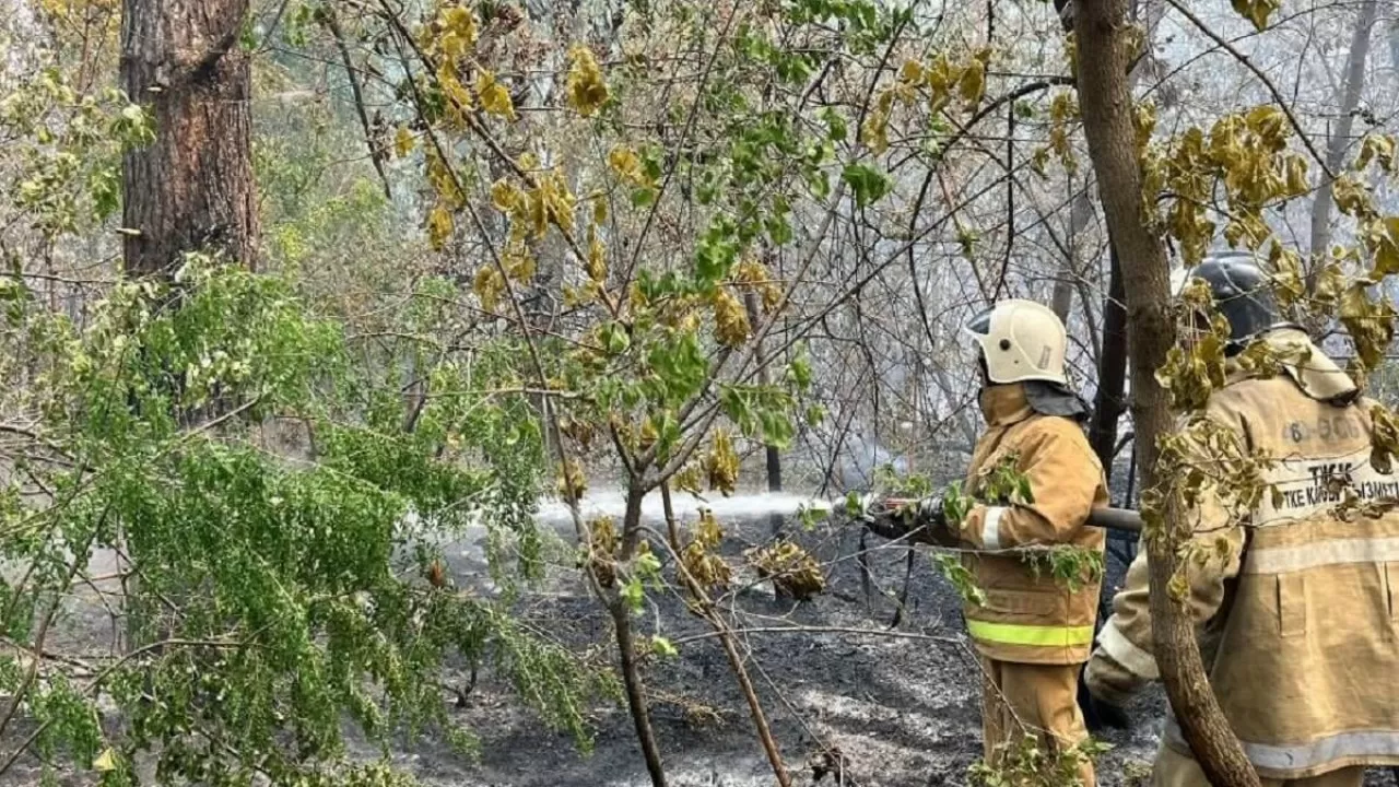 Абай облысындағы өрт: "Елдімекендерге қауіп жоқ"