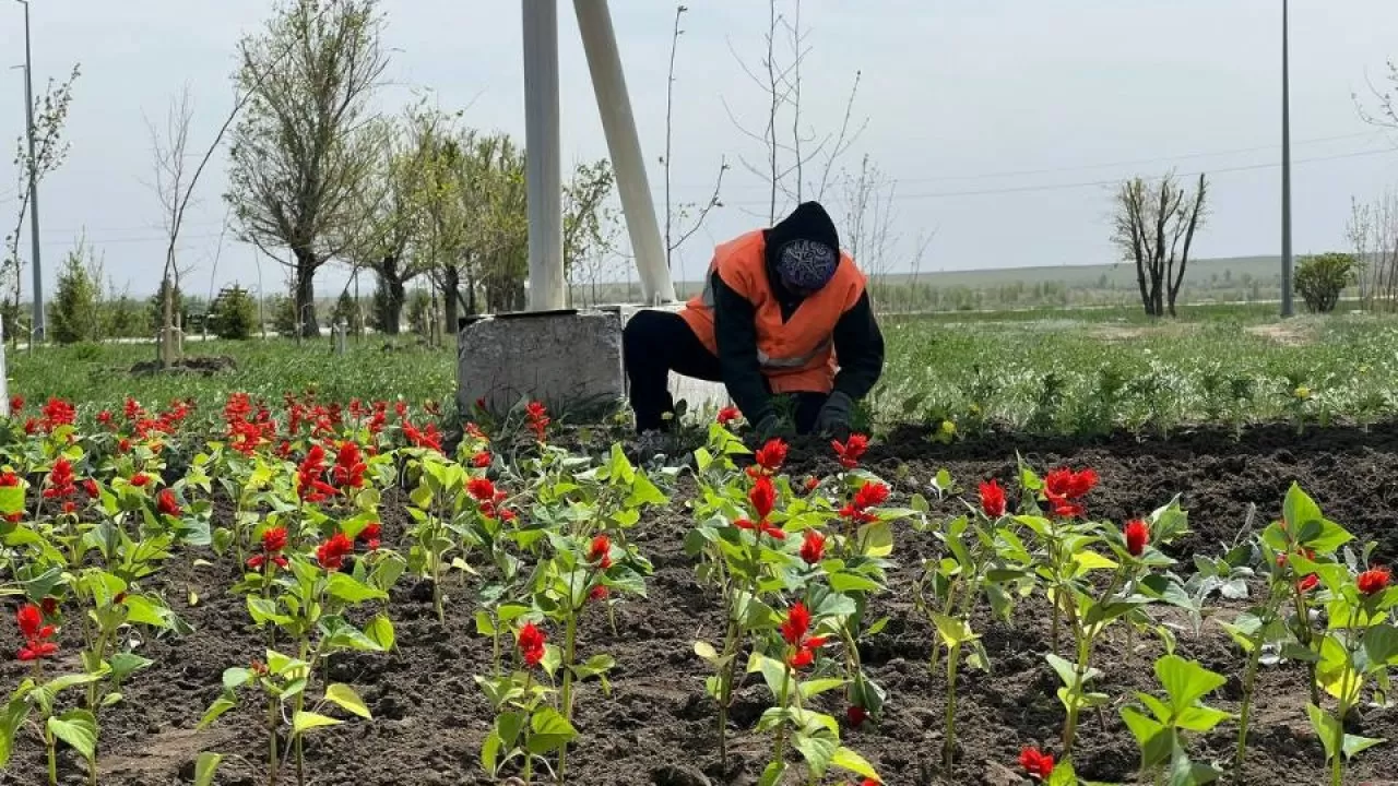 Компания 