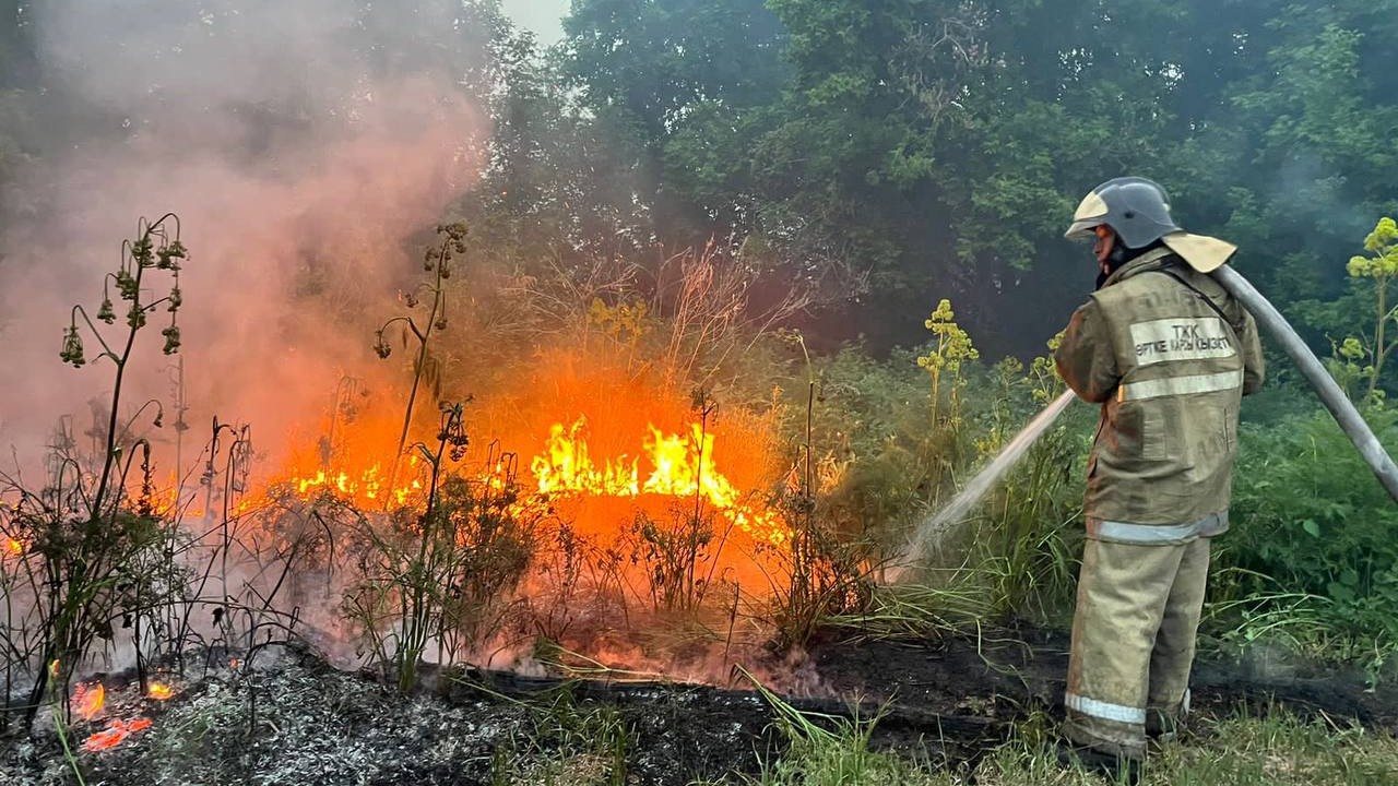 Лесной пожар в Абайской области охватил около 30 тыс. гектаров | Inbusiness.kz