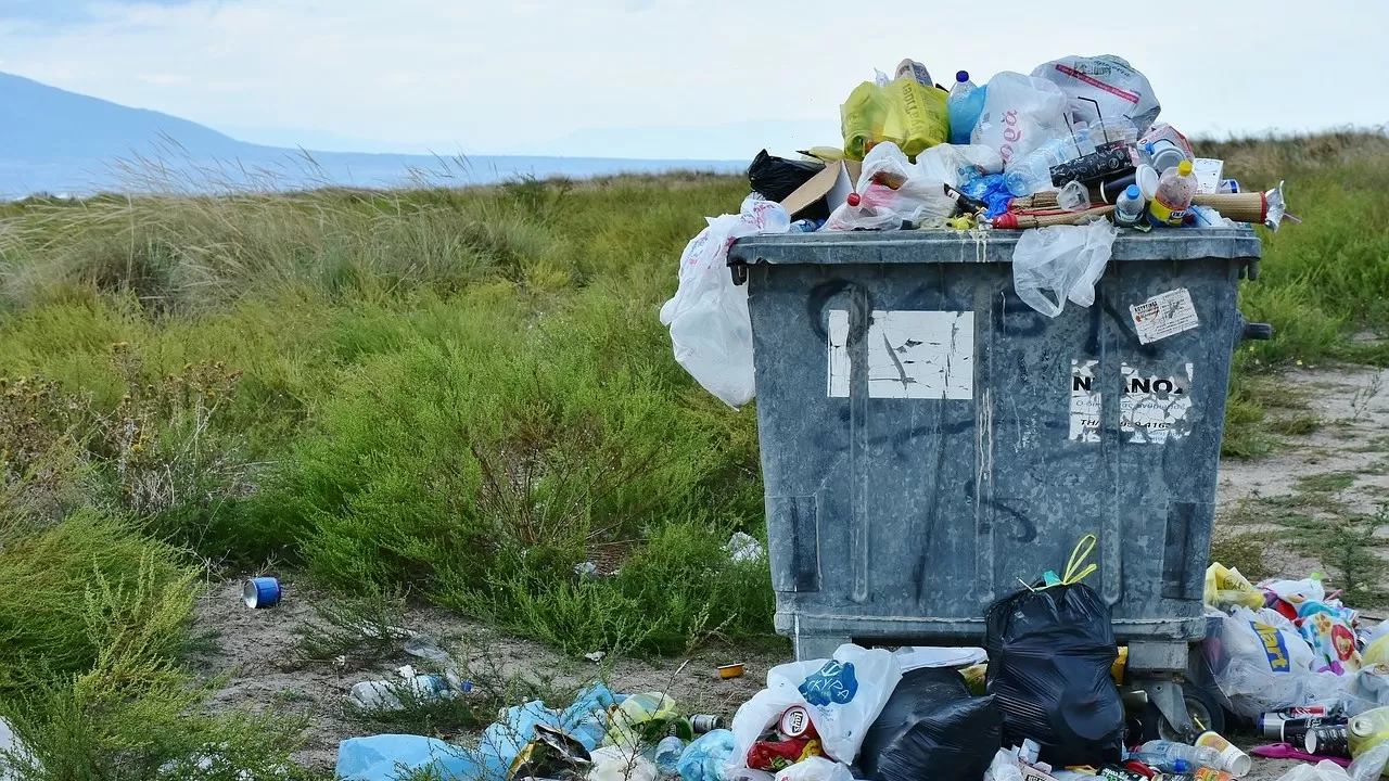 В Бишкеке хотят ввести уголовное наказание за расхищение мусора