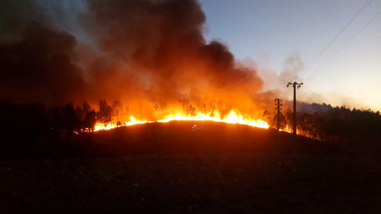 В Абайской области во время пожара погибли три человека