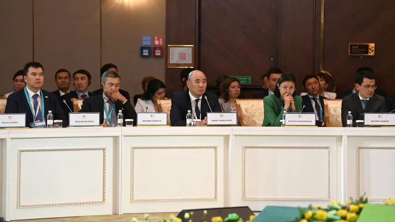 Казахстан успешно адаптировался к внешним реалиям – Токаев