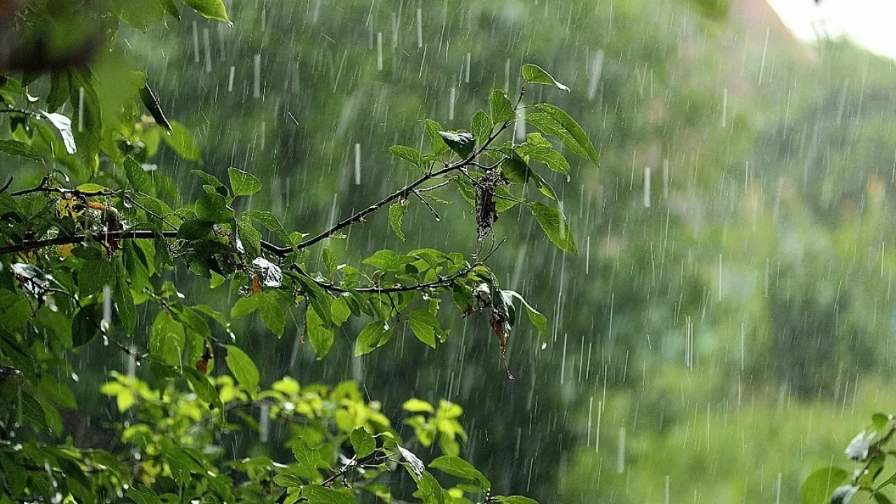 Бүгін еліміздің барлық өңірінде найзағай ойнап, жаңбыр жауады 