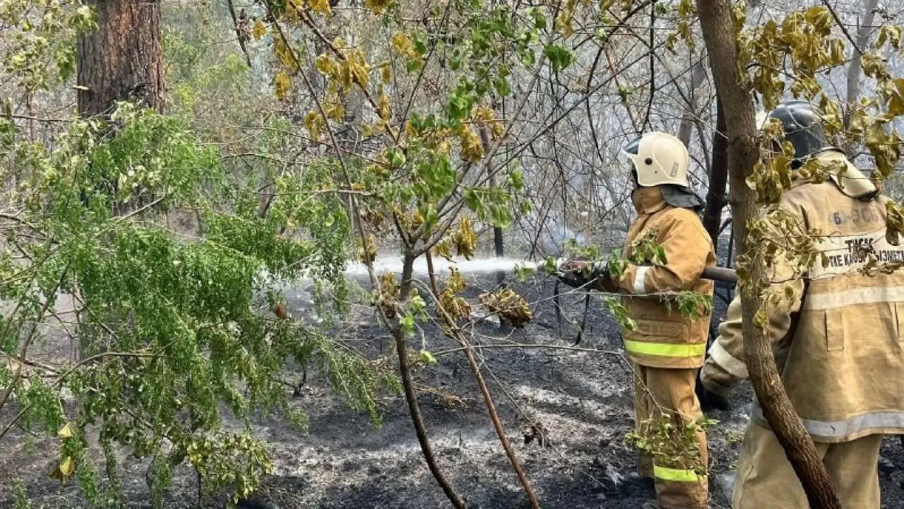 Возможно, была неправильная оценка обстановки – глава МЧС о пожаре в Абайской области