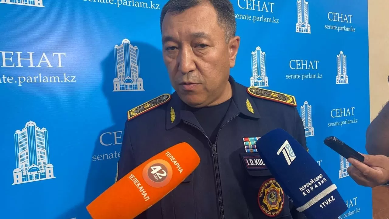 ТЖМ өртті әуеден сөндіретін ұшақтың жоқтығы туралы: "Оған ақша бөлінбеген"