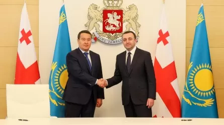 Сразу в 5 раз увеличился товарооборот Казахстана с Грузией и составил 167 млн долларов 