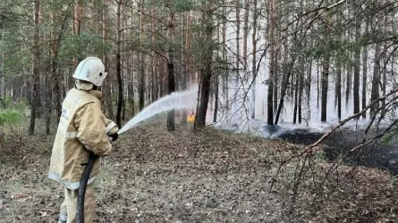 Какую помощь оказывают волонтеры на месте пожара в Абайской области