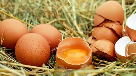 МСХ: Почему птицеводов лишают субсидии на яйцо