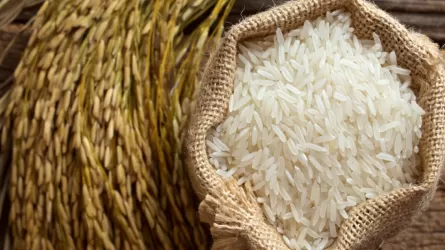Около 68 млн тенге штрафов должны заплатить оптовые продавцы риса в Кызылорде