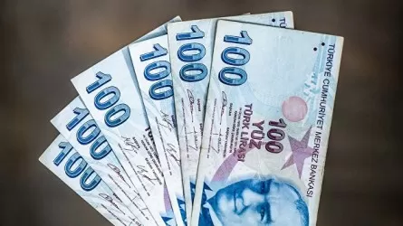 Курс турецкой лиры рухнул после решения центробанка о ставке