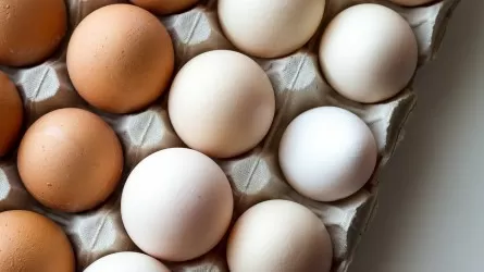 Производители яйца: МСХ девальвировало свои обещания на миллиарды тенге