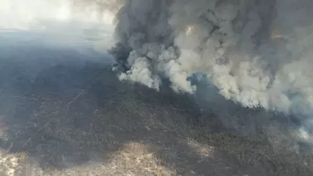 Названа предварительная причина пожара в Абайской области