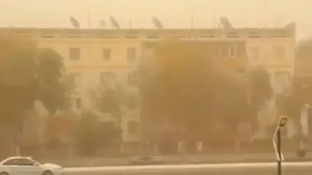 Пыльные бури оставили без электричества десятки тысяч людей в Узбекистане