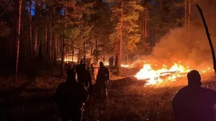 Пожары в Абайской области: Токаев распорядился, чтобы глава МЧС выехал в регион