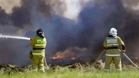 1800 человек продолжают бороться с лесным пожаром в Абайской области