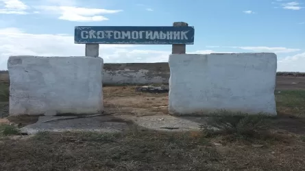 Депутаты призывают навести порядок на скотомогильниках в Казахстане