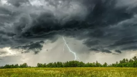 Грозы, дожди и бури ожидаются в Казахстане