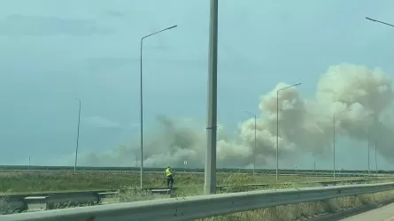 Площадь пожара на Коргалжынском шоссе увеличилась до 80 га