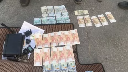 Кражу почти на 9 млн тенге раскрыла полиция в Костанае