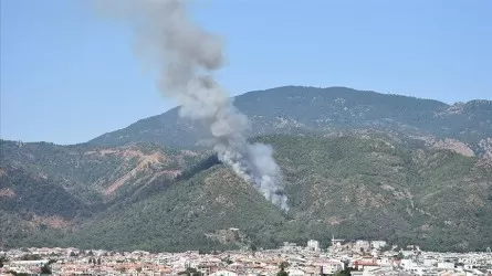 Лесной пожар начался на турецком курорте Мармарис