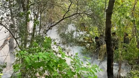 В Семее объявлен режим ЧС в связи с лесными пожарами