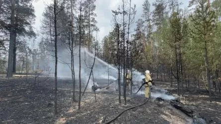 Из зоны пожара в Абайской области уже эвакуированы жители 4 поселков