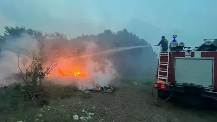 Видео пожара, якобы снятого в Бородулихинском районе – фейк?