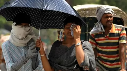 Более 30 человек скончались на севере Индии из-за сильной жары