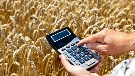 Причины задержки субсидий фермерам пояснили костанайские чиновники