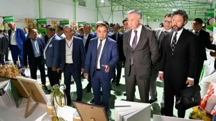 О поставках социальных продуктов на 3 млрд тенге договорились СПК и предприниматели в Кызылординской области