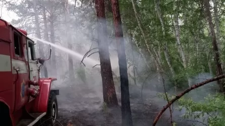Пожар в горах локализовали в ВКО